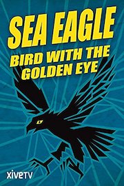 Sea Eagle: Bird with the Golden Eye