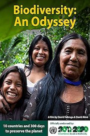 Biodiversity: an odyssey