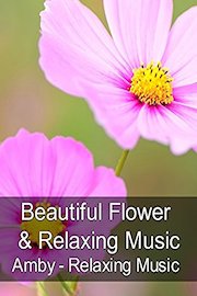 Beautiful Flower & Relaxing Music - Amby - Relaxing Music