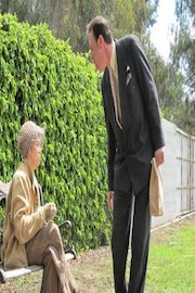 A Dove Among Pigeons