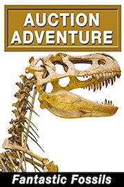 Auction Adventure: Fantastic Fossils