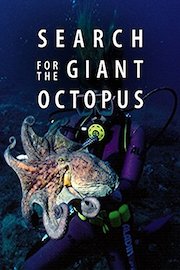 Search for the Giant Octopus