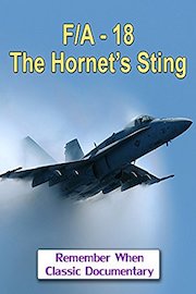 F/A-18, The Hornet's Sting