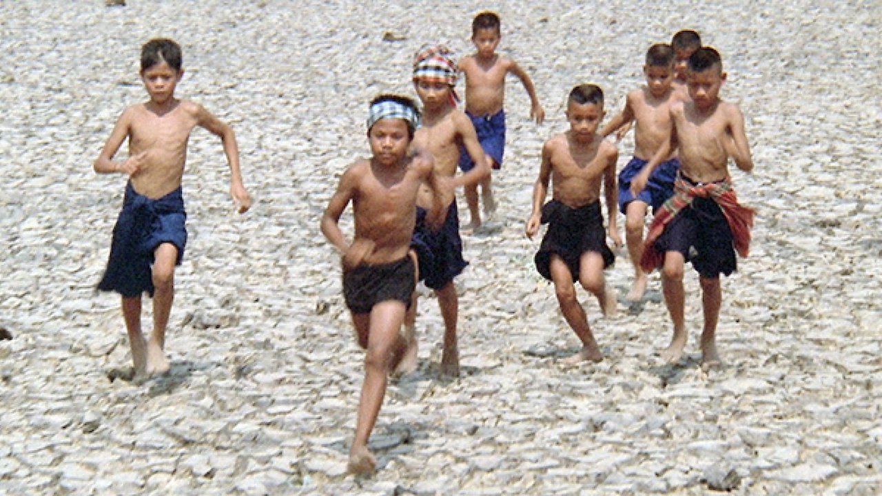 Son of the Northeast