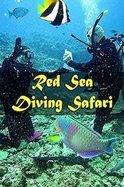 Red Sea Diving Safari