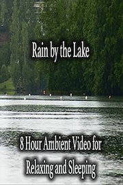 Rain by the Lake 8 Hour Ambient Video for Relaxing and Sleeping