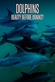 Dolphins: Beauty Before Brains?
