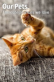 Our Pets - The cute animals we love