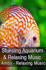 Stunning Aquarium & Relaxing Music - Amby - Relaxing Music