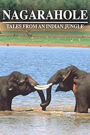 Nagarahole: Tales from an Indian Jungle