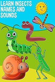 Learning Insects Names and Sounds