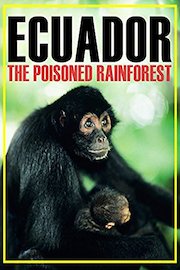 Ecuador: The Poisoned Rainforest