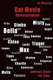 Cat Movie Entertainment