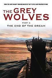 Grey Wolves Part 3 - The End of the Dream
