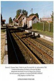 Searching for Monica