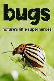 Bugs: Nature's Little Superheroes