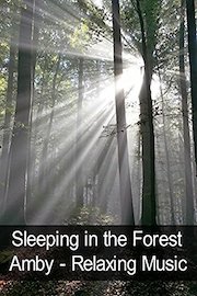 Sleeping in the Forest - Amby - Relaxing Music