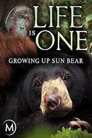 Life is One: Growing Up Sun Bear