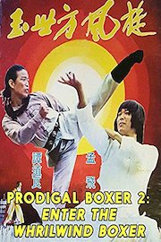 Prodigal Boxer 2: Enter The Whirlwind Boxer