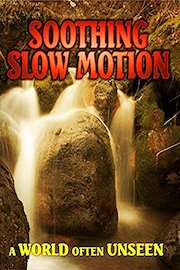 Soothing Slow Motion: A World Often Unseen