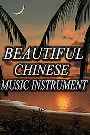 Beautiful Chinese music Instrument