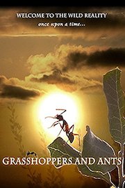 Grasshoppers and Ants