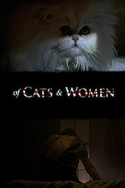 Of cats and women