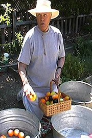 Artificially Speaking