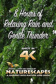 8 Hours of Relaxing Rain and Gentle Thunder