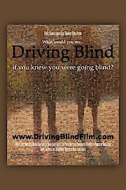 Driving Blind