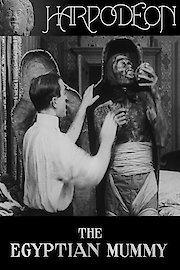The Egyptian Mummy