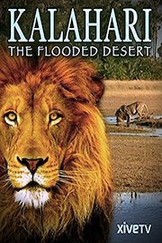 Kalahari: The Flooded Desert