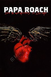 Live And Murderous In Chicago