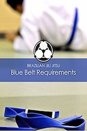 Brazilian Jiu Jitsu Blue Belt Requirements