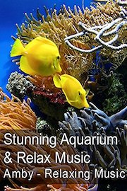 Stunning Aquarium & Relax Music - Amby - Relaxing Music