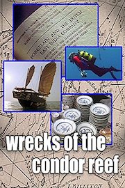 Wrecks of The Condor Reef