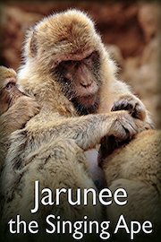 Jarunee - the Singing Ape