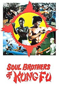 Soul Brothers Of Kung Fu