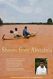 Shoots from Abyssinia
