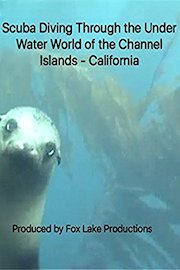 Scuba Diving Through the Under Water World of the Channel Islands