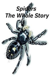 Spiders The Whole Story