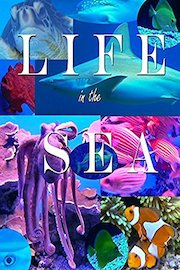 Life in the Sea