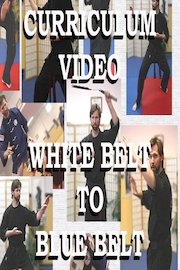 White Belt to Blue Belt