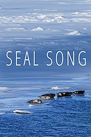 Seal Song