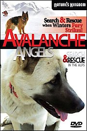 Avalanche Angels