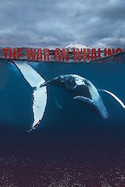 The War on Whaling