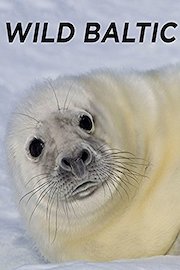 Wild Baltic