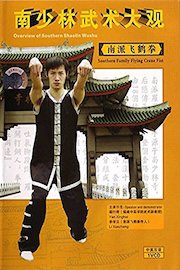 Flying White Crane Fist Kung Fu