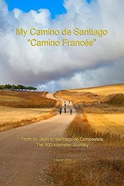 My Camino de Santiago 
