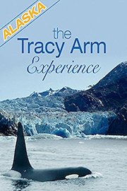 Alaska, The Tracy Arm Experience